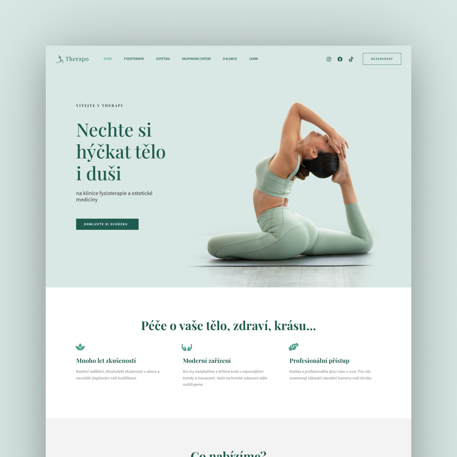 Obsahová strategie Therapo